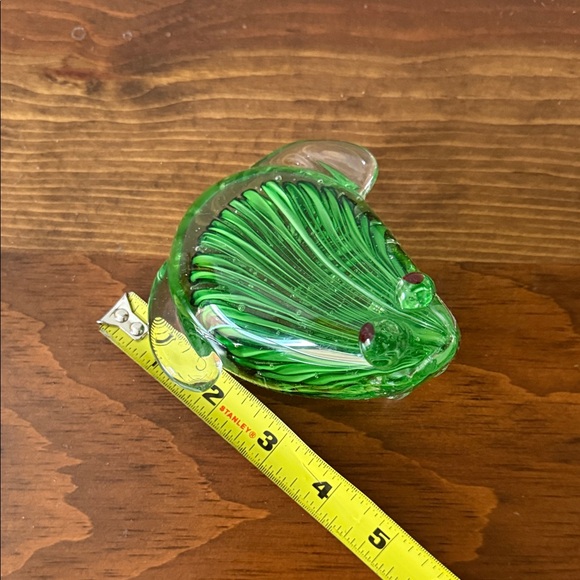 Glass Frog - Picture 9 of 9